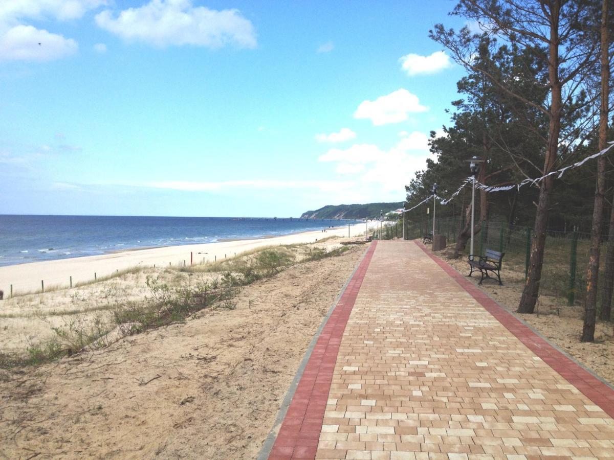 Apartamenty Tulipan - Visitopl ミエンジズドロイェ エクステリア 写真